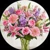 littleshop_1234